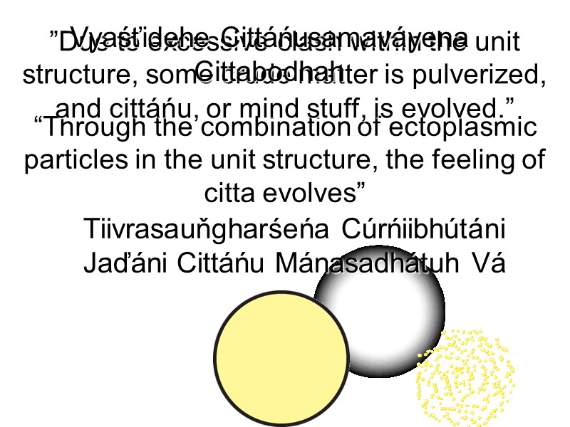 “Through the combination of ectoplasmic particles in the unit structure, the feeling of citta